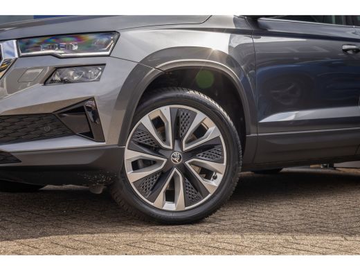 Skoda Karoq 1.5 TSI ACT Business Edition Plus | Leder | Camera | Cruise control adaptief | Stoel+stuur verwar... ActivLease financial lease