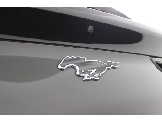 Ford Mustang Mach-E Mach-E Extended RWD 98 kWh | Panoramadak | B&O | Elek. Stoelen | 360 Camera | Adaptive Cruise | B... ActivLease financial lease
