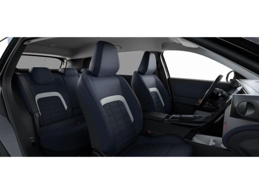 Citroën C5 Aircross Business | Extra getinte achterste zijruiten en achterruit ActivLease financial lease