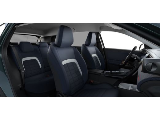 Citroën C5 Aircross Business | Extra getinte achterste zijruiten en achterruit ActivLease financial lease