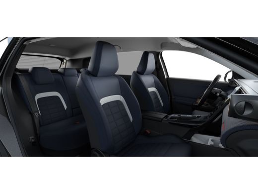 Citroën C5 Aircross Plus | Extra getinte achterste zijruiten en achterruit ActivLease financial lease