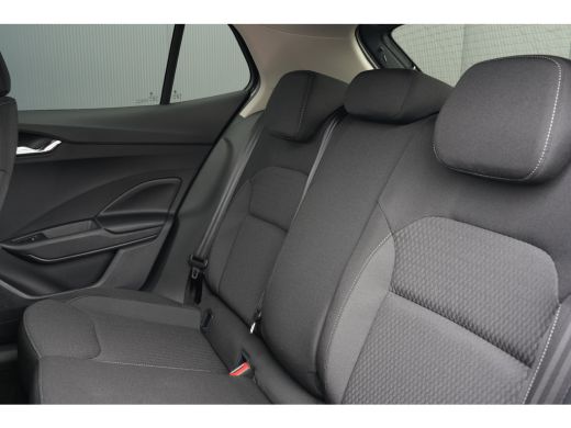 Skoda Fabia Business Edition | Achteruitrijcamera | Chromen raamlijsten | Cruise control met speedlimiter ActivLease financial lease
