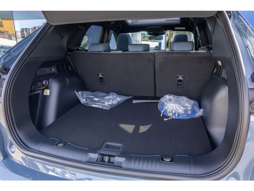 Ford Kuga 2.5 PHEV BlueCruise Edition | DEMO-DEAL | Autopilot | B&O | Elektrisch glazen panorama-dak | Elek... ActivLease financial lease