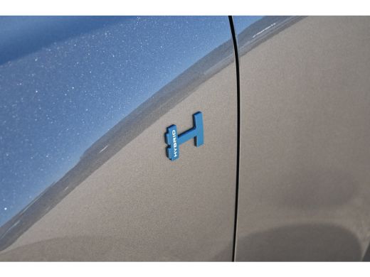 Citroën C5 Aircross 1.6 Plug-In Hybrid 195 Business Tot 8 Jaar Garantie! | 360 Camera | Adaptive Cruise | HeadUp-Disp... ActivLease financial lease