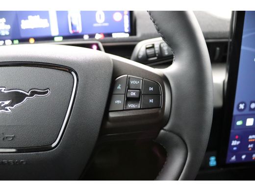 Ford Mustang Mach-E Mach-E RWD 75 kWh | B&O Audio | Panoramadak | Elektr. verstelbare stoelen & achterklep | Stoel/st... ActivLease financial lease