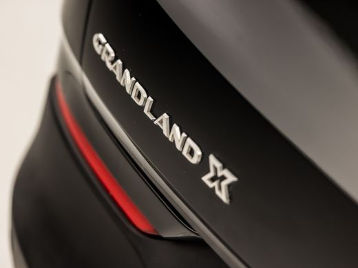 Opel Grandland X 1.2 Turbo Sport (APPLE CARPLAY, GROOT NAVI, CLIMATE, LEDER, CAMERA, SPORTSTOELEN, GETINT GLAS, CR... ActivLease financial lease