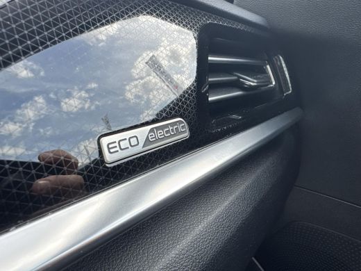 Kia e-Niro DynamicLine 64 kWh Navigatie Camera ActivLease financial lease