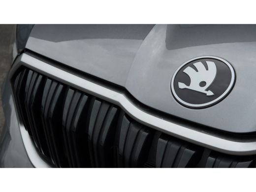 Skoda Kodiaq 1.5 TSI 150pk MHEV Business Edition 7p. | Trekhaak | Adaptive Cruise | Camera | Carplay | Keyless... ActivLease financial lease