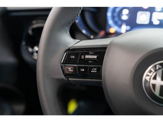 Alfa Romeo Junior Elettrica 54 kWh | Apple Carplay & Android Auto | Parkeesensoren | Keyless | Climate Controle | A... ActivLease financial lease
