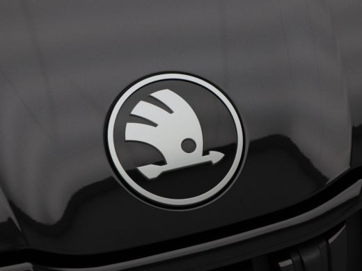 Skoda Kodiaq 1.5 TSi 204 Pk PHEV Sportline Business | Stoelverwarming | Trekhaak | 360 Camera | Panoramadak | ... ActivLease financial lease