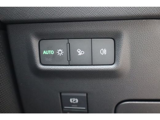 Skoda Kodiaq 1.5 TSI MHEV Business Edition | Achteruitrijcamera | Crew Protect Assist | Cruise control met spe... ActivLease financial lease