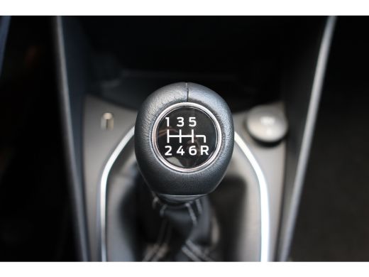 Ford Fiesta 1.0 EcoBoost Titanium | ORIGINEEL NL! | DEALER OH! | CARPLAY | CRUISE | CLIMATE CONTROL | PARK SE... ActivLease financial lease