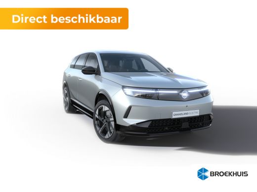 Opel Grandland Business Edition - Electric | Achteruitrijcamera | Draadloze telefoonlader (Inductie) | Elektroni... ActivLease financial lease