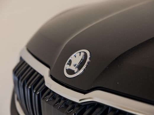 Skoda Kodiaq 1.5 TSI Business Edition / 150pk / Achteruitrij camera / Dodehoek assistent / ActivLease financial lease