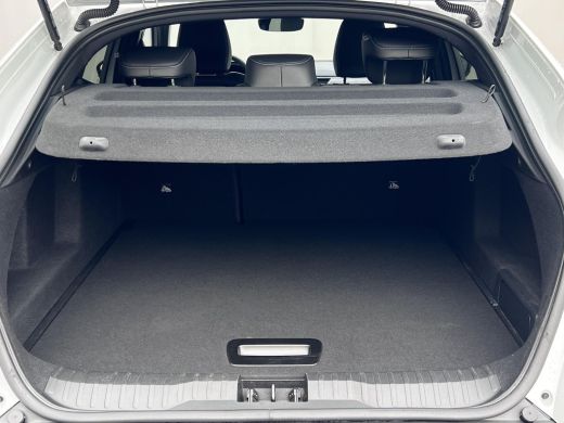 Renault Arkana 1.6 E-Tech full hybrid 145 esprit Alpine /   Dealer o.h / Elektrische stoelen / Panorama dak / St... ActivLease financial lease