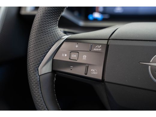 Opel Grandland Business Edition 73 kWh | Tot 8 Jaar Garantie | Warmtepomp | Panoramadak | El. Achterklep | Focal... ActivLease financial lease