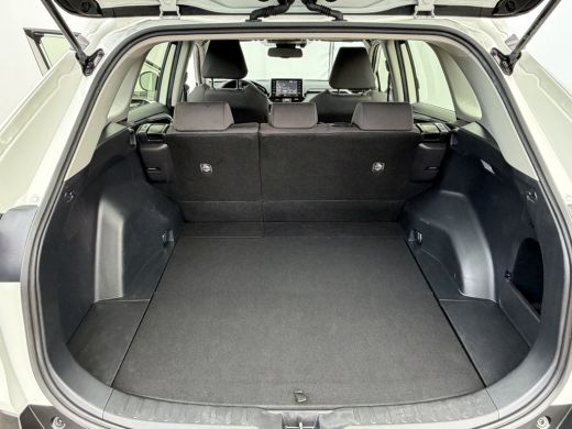 Toyota RAV4 2.0 VVT-iE Business Trekhaak (2000 kg) Adapt.Cruise Carplay Camera Voll.Dealer Onderhouden! ActivLease financial lease