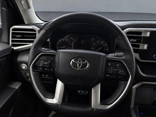 Toyota Tundra SR5 CrewMax 4WD 3.4 V6 Twin-Turbo - LPG - Nieuwe motor Geheel rijklaar met garantie ActivLease financial lease