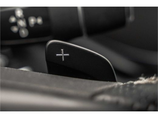 Mercedes-Benz V-Klasse V 250 BlueTEC | Automaat | 360&deg; Camera | Leder | Burmester | Elekt.schuifdeur L+R | Climatronic |... ActivLease financial lease