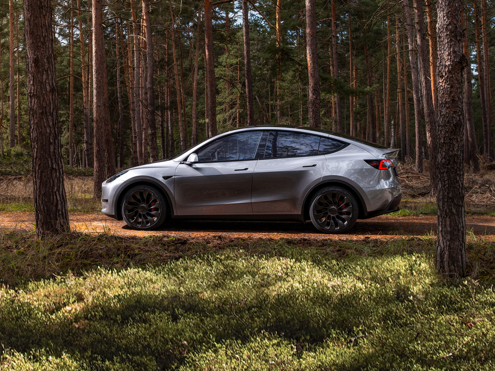 Tesla Model Y Midnight Silver