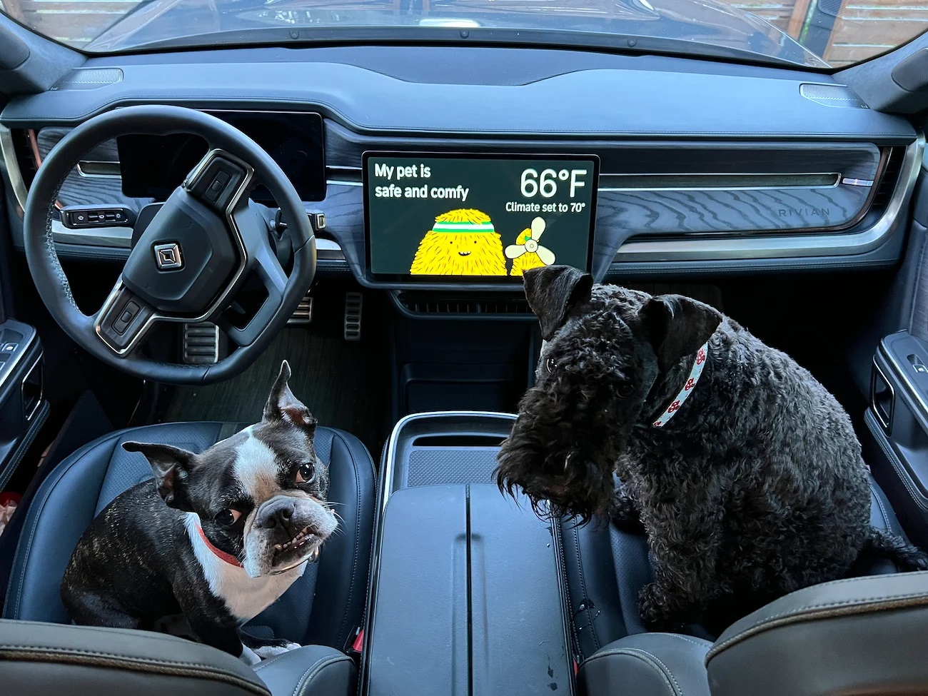 Rivian Pet Comfort ActivLease