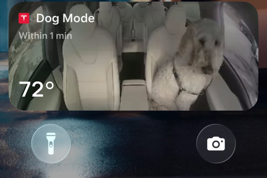 Tesla Holiday Update 2025 - ActivLease Tesla Holiday Update 2025 - ActivLease