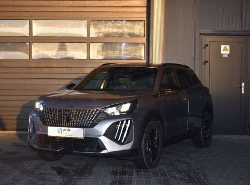 Peugeot e-2008 zilver