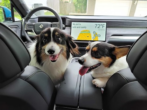 Na Tesla heeft nu ook Rivian een speciale modus voor huisdieren Na Tesla heeft nu ook Rivian een speciale modus voor huisdieren