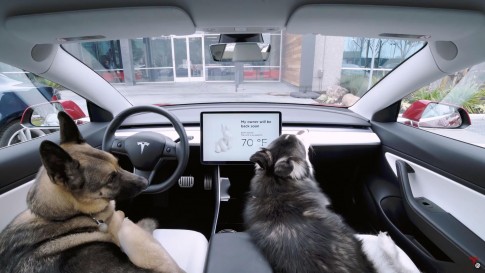 Via een app live meekijken met wat uw Tesla ziet? Binnenkort kan het! Via een app live meekijken met wat uw Tesla ziet? Binnenkort kan het!