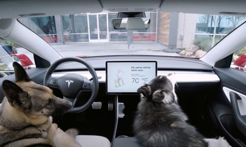 Een Tesla is de diervriendelijkste EV dankzij Dog Mode Een Tesla is de diervriendelijkste EV dankzij Dog Mode