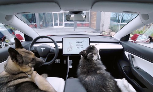 Via een app live meekijken met wat uw Tesla ziet? Binnenkort kan het! Via een app live meekijken met wat uw Tesla ziet? Binnenkort kan het!