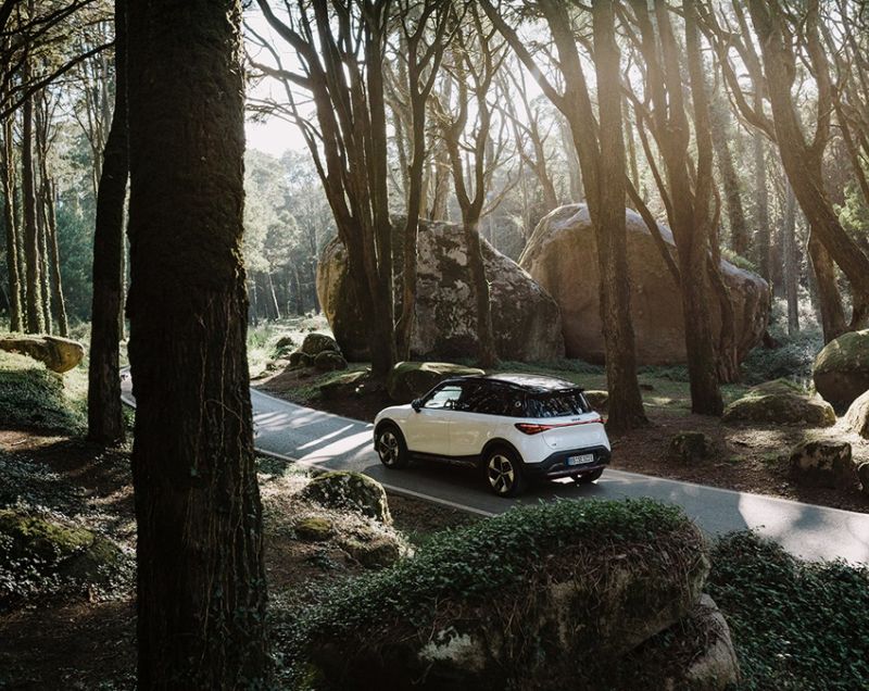 Smart #1 66kWh Premium