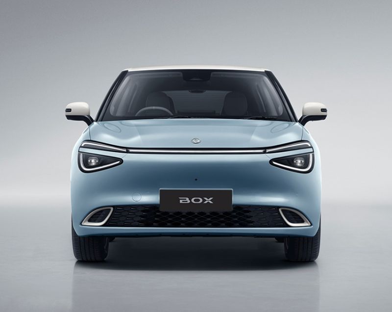 Dongfeng Box 42.3kWh 70 kWh Premium Edition, Sky Blue - SNEL LEVERBAAR