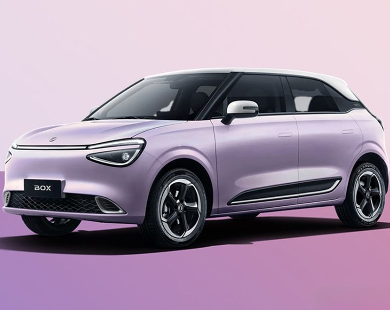 Dongfeng Box 42.3kWh 70 kWh Premium Edition, Dynamic Purple / Wit dak