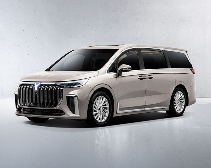 Voyah Dream 108.7kW ev flagship edition 320kW aut
