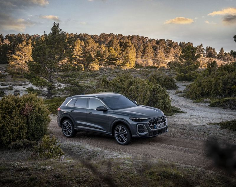 Audi Q5 2.0 e-Hybrid 220kW quattro Pro Line