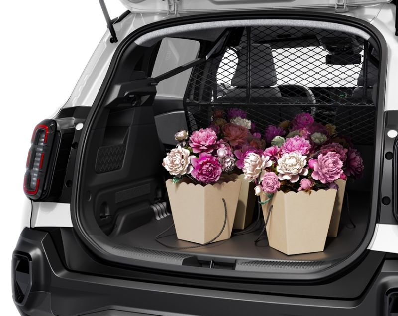 Renault 4 E-Tech Van 40kWh ev urban range evolution 90kW aut