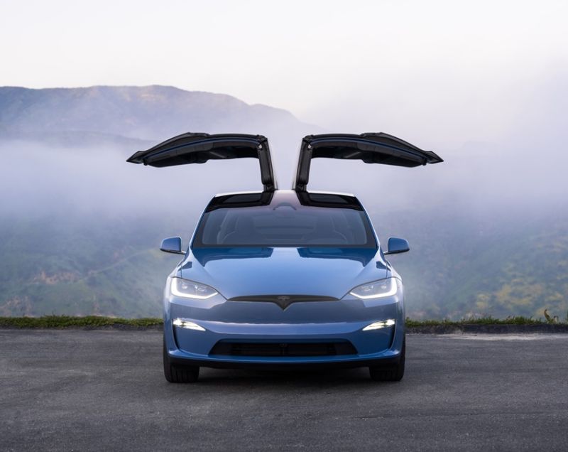 Tesla Model X 100kWh AWD