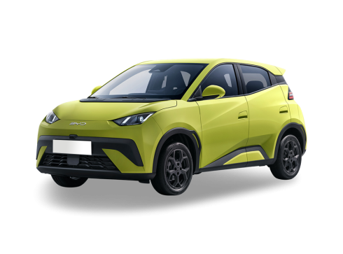 Byd Dolphin Surf Byd Dolphin Surf