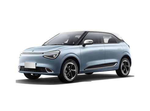 31.4kWh ev style edition 70kW aut