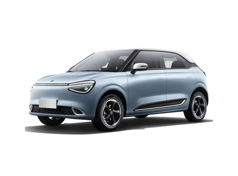 31.4kWh ev style edition 70kW aut 31.4kWh ev style edition 70kW aut