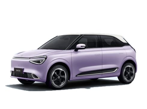 42.3kWh 70 kWh Premium Edition, Dynamic Purple / Wit dak 42.3kWh 70 kWh Premium Edition, Dynamic Purple / Wit dak